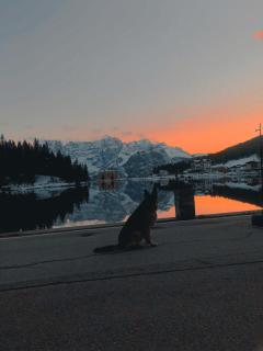 Quinz - Locanda Al Lago - Misurina - 8