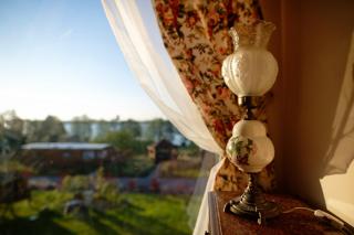 Czapla Stare Sady - 1