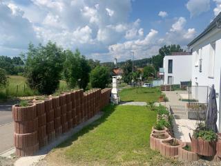 Olive - Uhldingen-Mühlhofen - 6