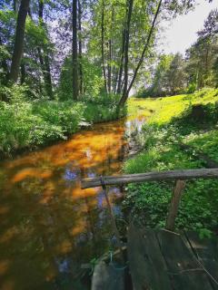 Dom i Domki nad Tanwią Roztocze - 1