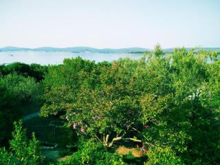 Adria apartments - Sveti Filip i Jakov - 8