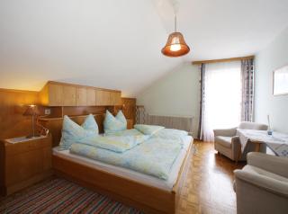 Haus Pitzer/Apartments Troicher - Schladming - 5
