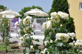 Park Hotel "Feniks" - Gribovka - 5