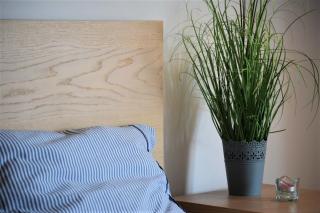 Cosy Apartment In Budapest Downtown WITH Free Garage Parking - Budapest - 2