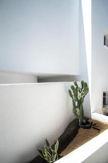 Lotos Beach Home - 9