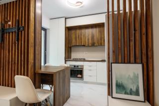 Cozy Business Studio Premium Plaza Residence - Bucarest - 5