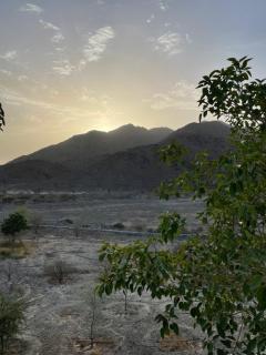 Alshahad farmhouse - Fujairah - 5