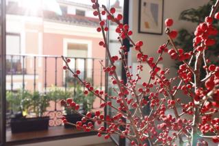 Reina Sofia Boutique II - Madrid - 8