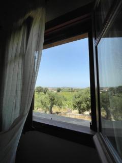 Serenita Cottage - Zakynthos - 8