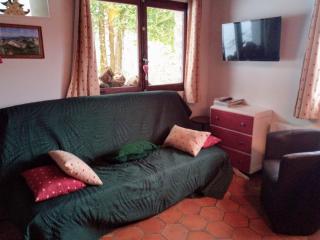 Chalet Lou Griou - Saint-Jacques-des-Blats - 2