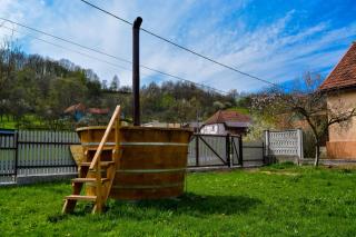 Bustea 2 - Hărţăgani - 3