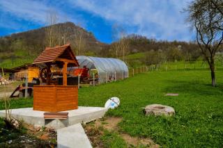 Bustea 2 - Hărţăgani - 1