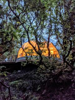 Fernwood - 1