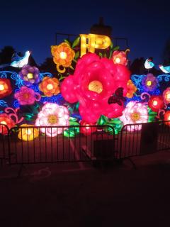 LA BELLE ETOILE - 8