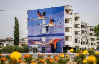 Down Town Studio - Ulcinj - 3