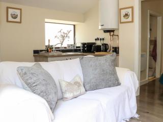 Lannlyvri Lodge - Bodmin - 8