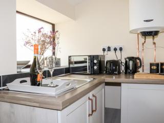 Lannlyvri Lodge - Bodmin - 4
