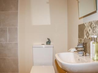 Lannlyvri Lodge - Bodmin - 1