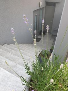 Apartment EMMA Ljubljana - FREE parking, AC, Wifi - Ljubljana - 9