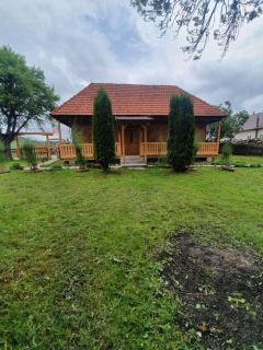 Casa tradițională Bilbor - Bilbor - 0