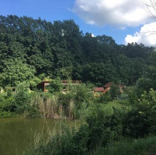 Pensiunea VisAventura - 3