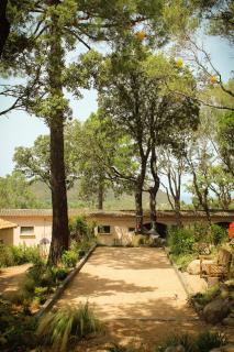 Domaine de la Testa - Sainte-Lucie de Porto-Vecchio - 3