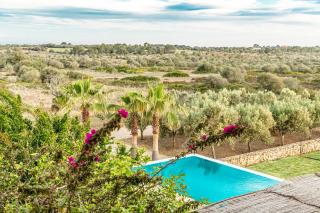 Villa Salamandra - Ses Salines - 3