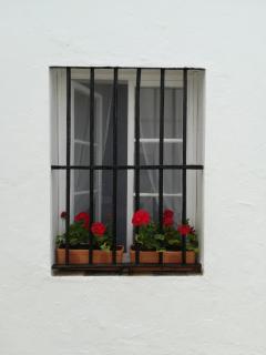 La Perica - Vejer de la Frontera - 7