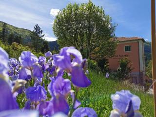 Le Pré Martin, gîte de chalets - 5