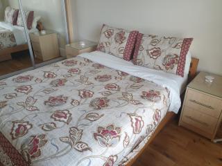 London Luxury 2 Bedroom Flat 5min walk from Overground, with FREE WIFI, FREE PARKING-Sleeps x6 - Ilford - 4