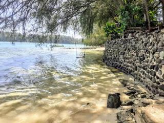 MOOREA - Local Spirit Family 3 - Hauru - 6