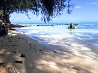 MOOREA - Local Spirit 5 - Hauru - 0
