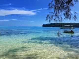MOOREA - Local Spirit 5 - Hauru - 9