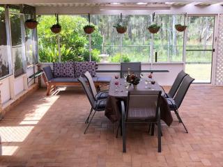 Harrys Haven Harrington - 8