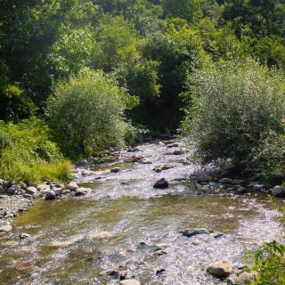 Spitak Tun - Ijevan - 5