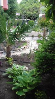 Family нouse -Нotel Asai - Ravda - 8