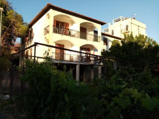 IL VIGNETO - Diano Castello - 0