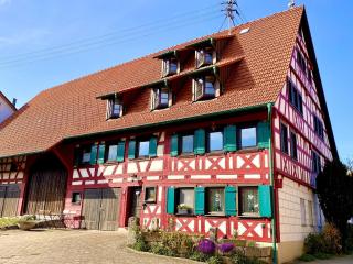 Ferienwohnungen im Eugenhaus - Rosenfeld - 0