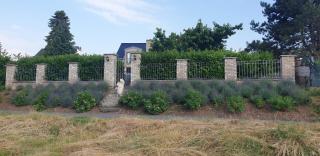 Schönste Lage am Rhein in unmittelbarer Stadtnähe, B & B - Köln - 1