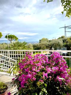 Villa Elisa - Minturno - 0