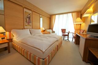 Park Hotel Imperial - Limone sul Garda - 9