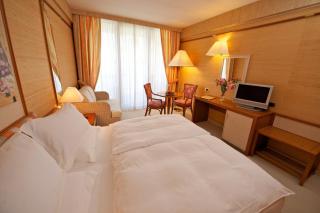 Park Hotel Imperial - Limone sul Garda - 7