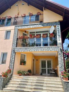 Villa Nina - Câmpina - 1