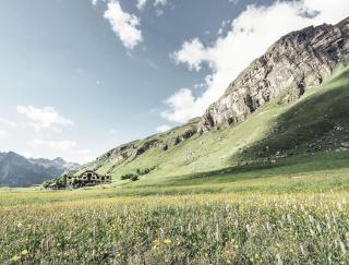 Hotel Fex - Sils im Engadin - 4