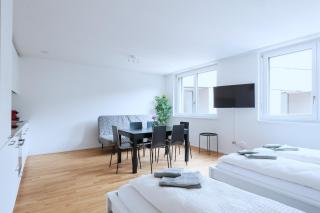 HITrental Messe Apartments - Basilea - 3