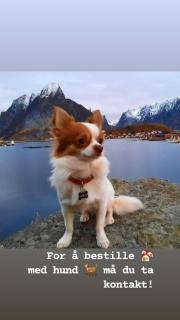 Kræmmervika Havn - 6