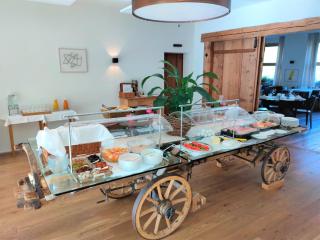 Hotel Alpina Parpan - Parpan - 7