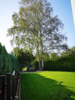 Birkenblick Ferienwohnung Owwe - 6