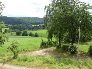 Fewo Im gruenen Eck 2 - Airlenbach - 6