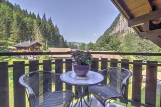 Ardoisiere - Snow and Trek - Morzine - 1
